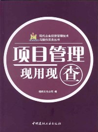 項目管理現用現查